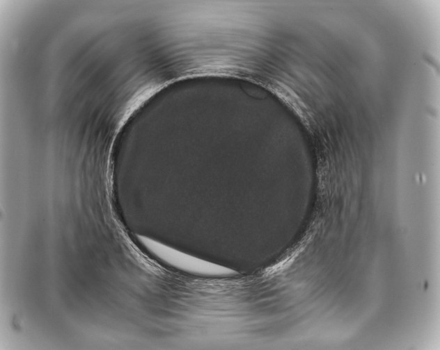 X0000097001077200802221515