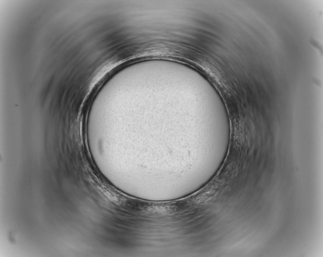 X0000097001078200802221515