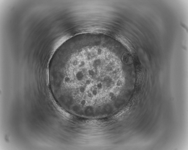 X0000097001079200802221515