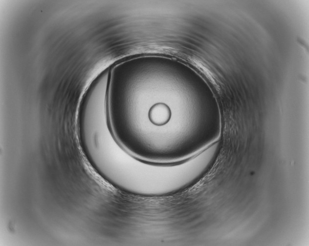 X0000097001080200802221515