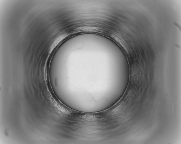 X0000097001082200802221515