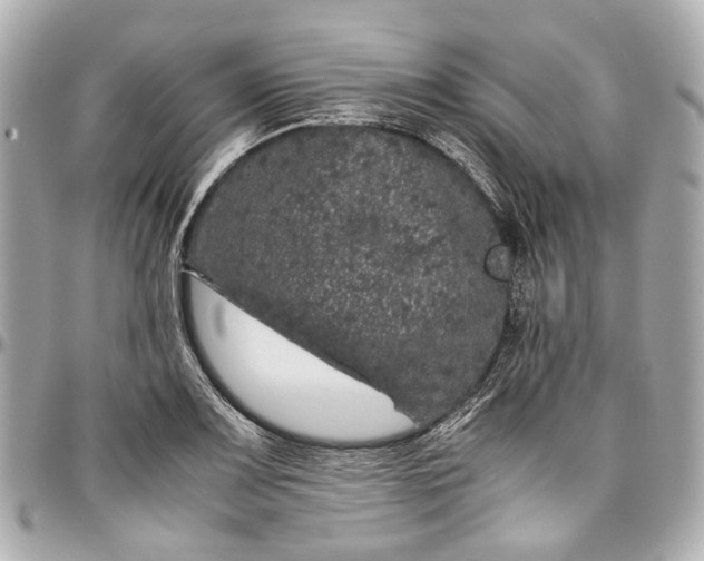 X0000097001083200802221515