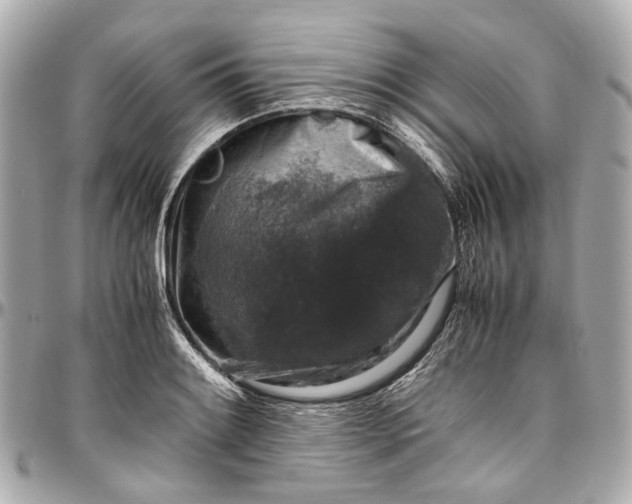 X0000097001084200802221515