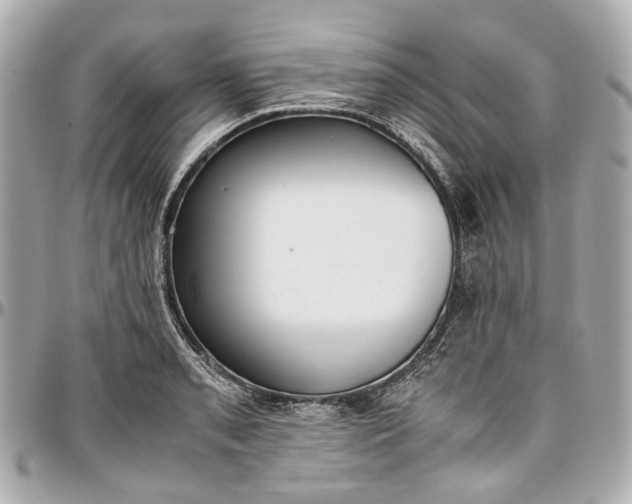 X0000097001085200802221515