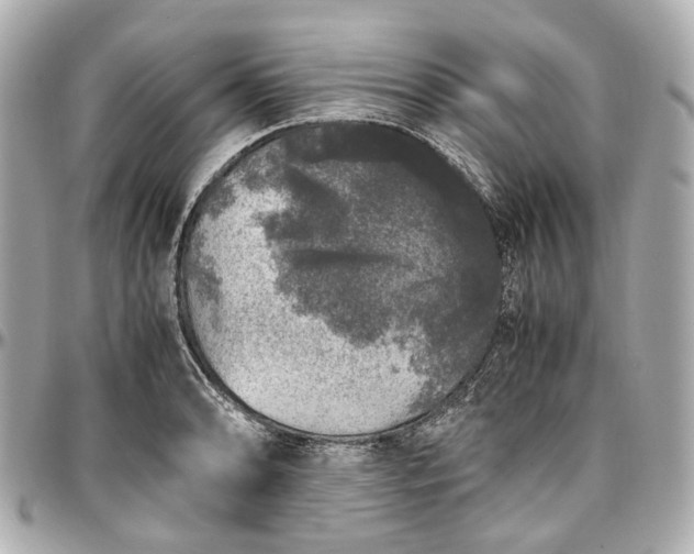 X0000097001086200802221515