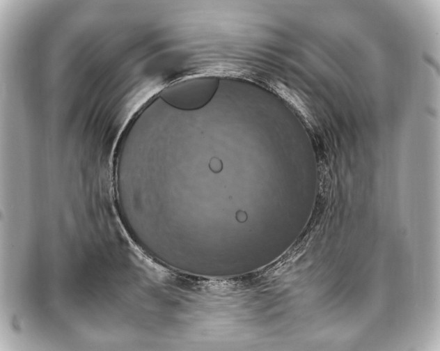 X0000097001087200802221515