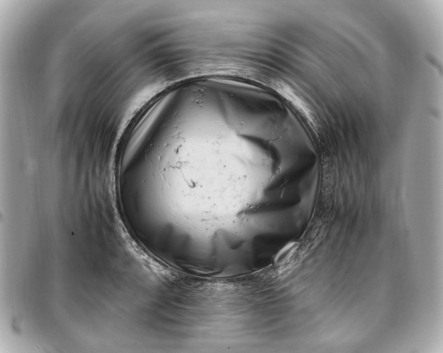 X0000097001088200802221515