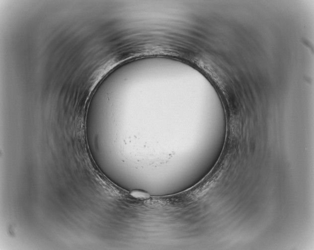 X0000097001089200802221515