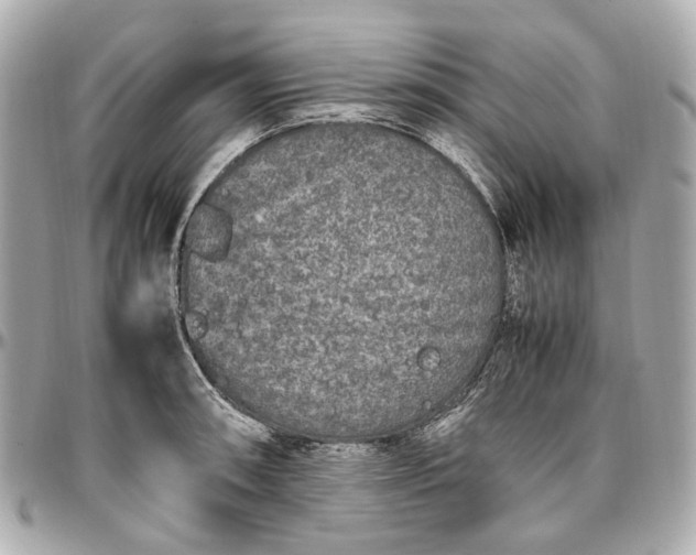 X0000097001090200802221515