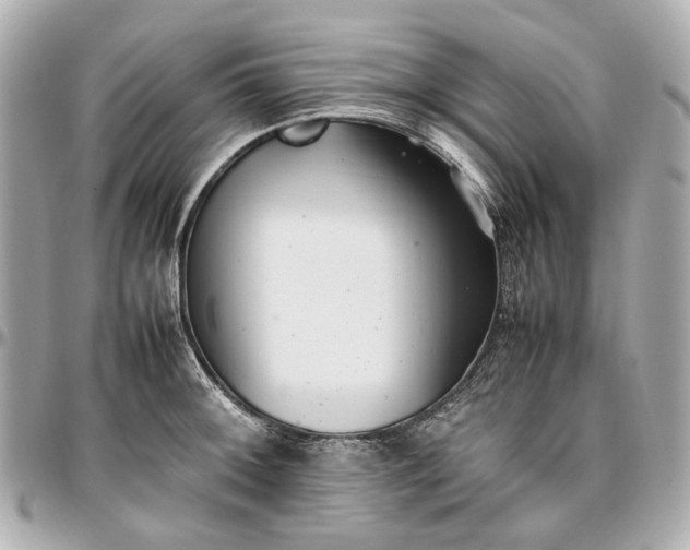 X0000097001092200802221515