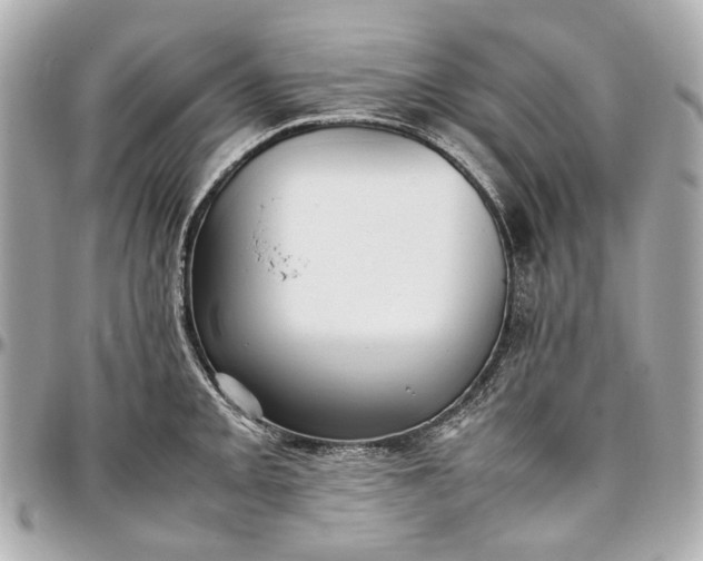 X0000097001093200802221515