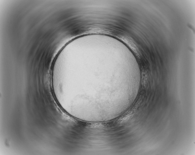 X0000097001094200802221515