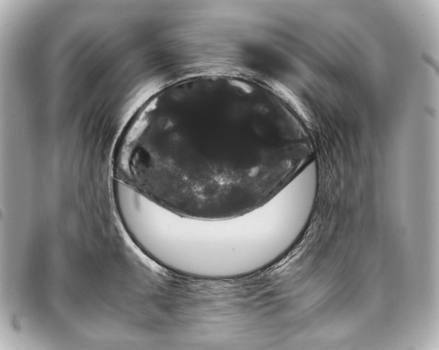 X0000097001095200802221515