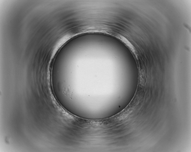 X0000097001096200802221515