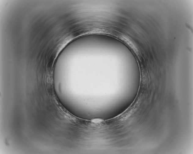 X0000097001097200802221515