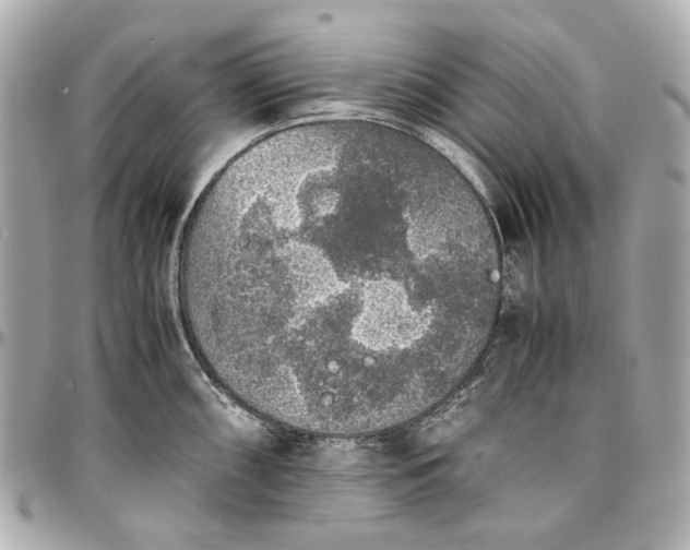 X0000097001098200802221515