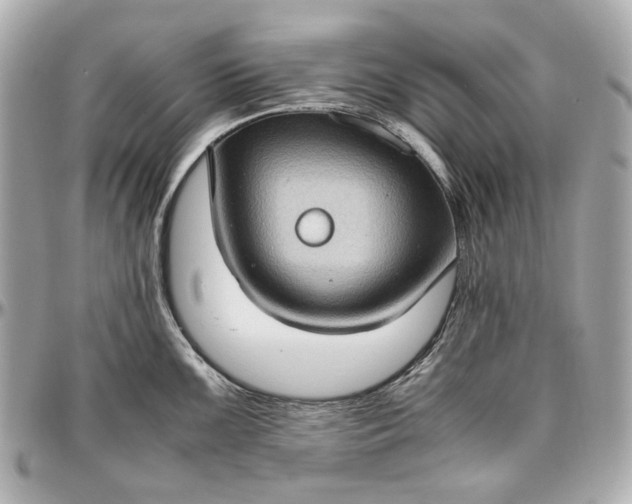 X0000097001099200802221515