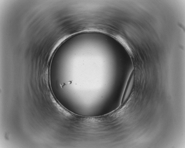 X0000097001100200802221515