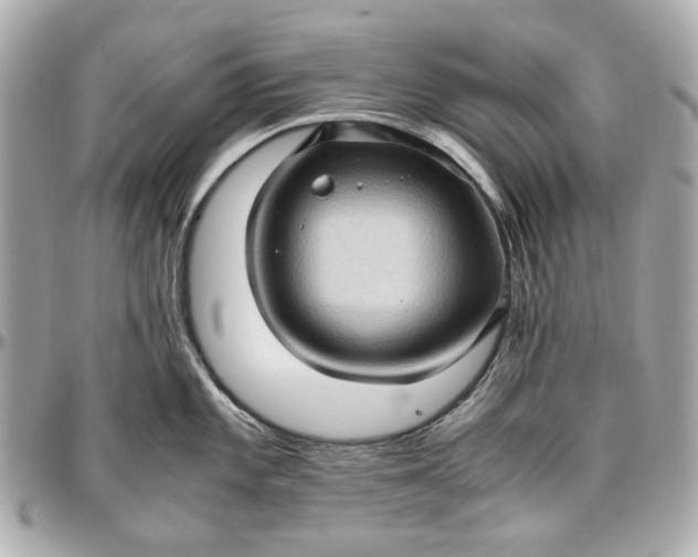 X0000097001101200802221515