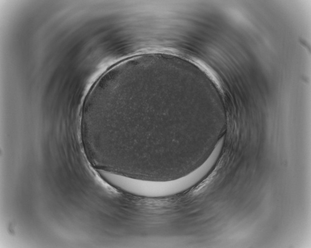 X0000097001102200802221515