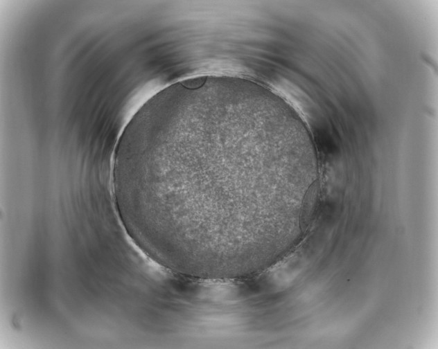 X0000097001103200802221515