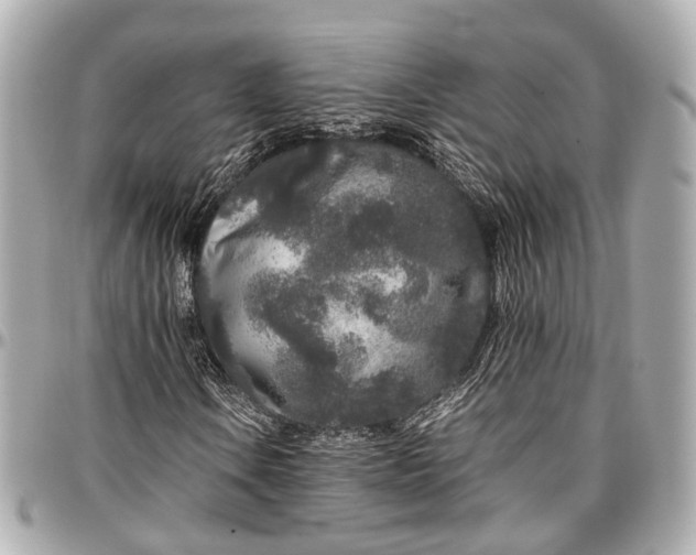 X0000097001106200802221514