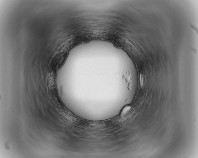 X0000097001107200802221514