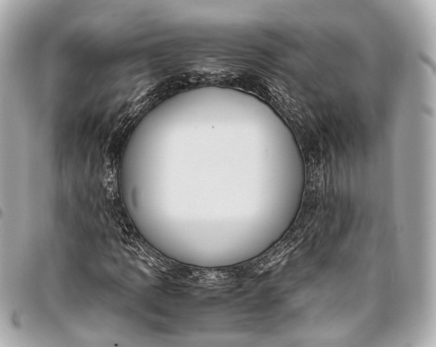 X0000097001109200802221515