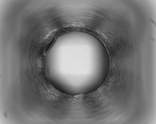 X0000097001110200802221515