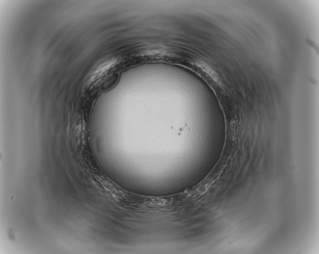 X0000097001111200802221515