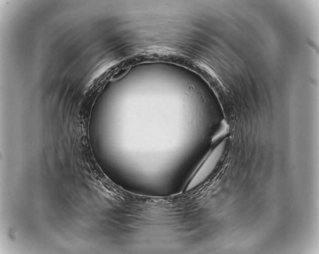 X0000097001112200802221515