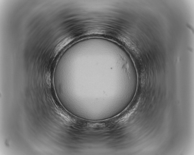 X0000097001113200802221515