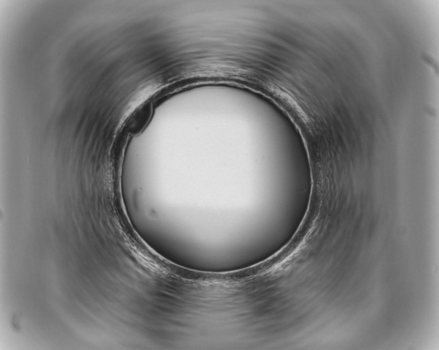 X0000097001114200802221515