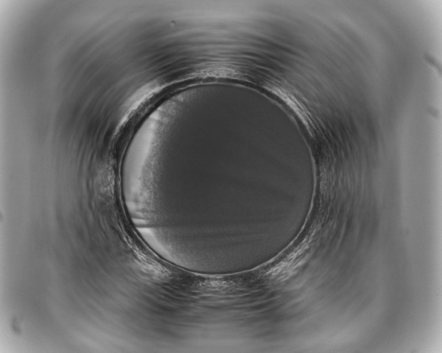 X0000097001115200802221515