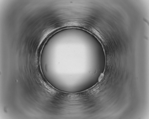 X0000097001116200802221515