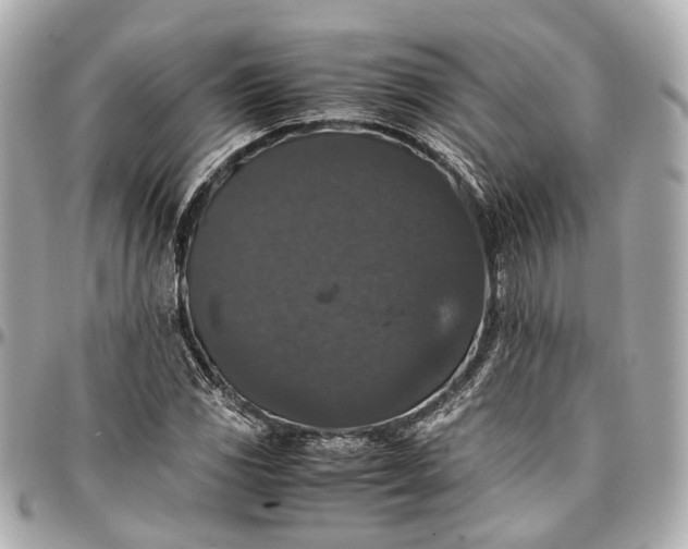 X0000097001117200802221515