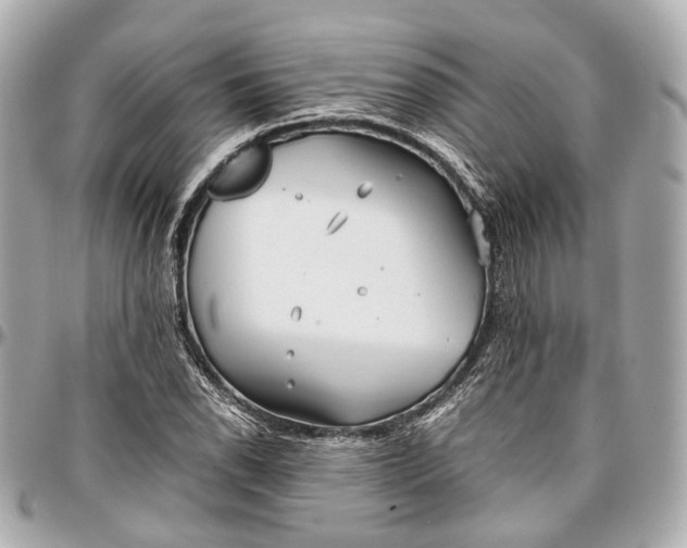 X0000097001118200802221515