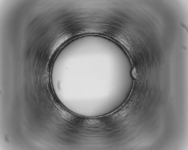 X0000097001119200802221515