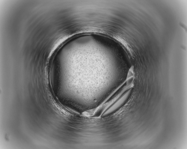 X0000097001120200802221515