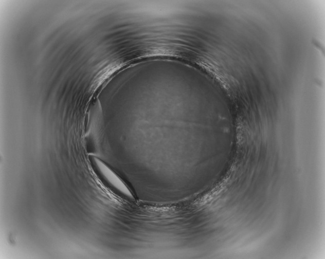 X0000097001121200802221515