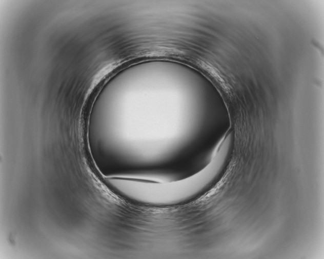 X0000097001122200802221515