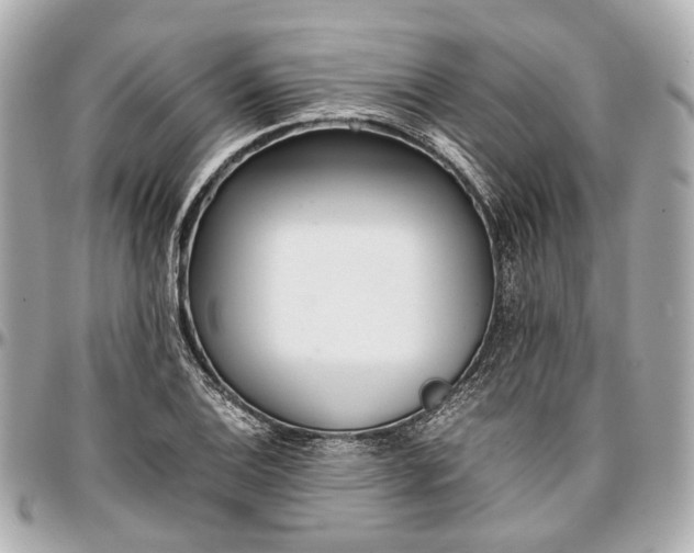 X0000097001124200802221515