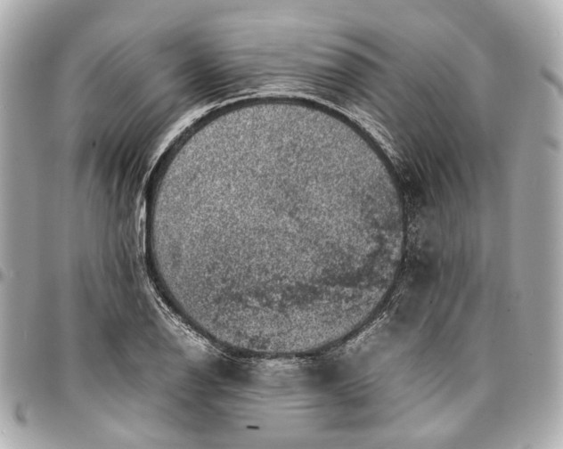 X0000097001126200802221515