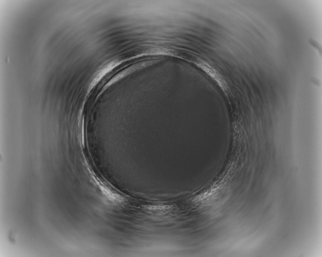 X0000097001127200802221515