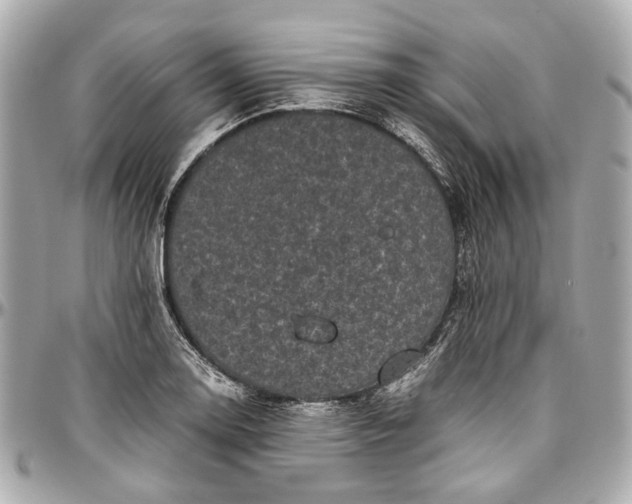 X0000097001130200802221515