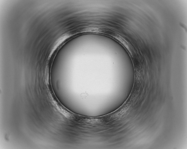 X0000097001131200802221515