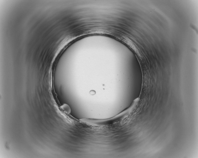 X0000097001132200802221515