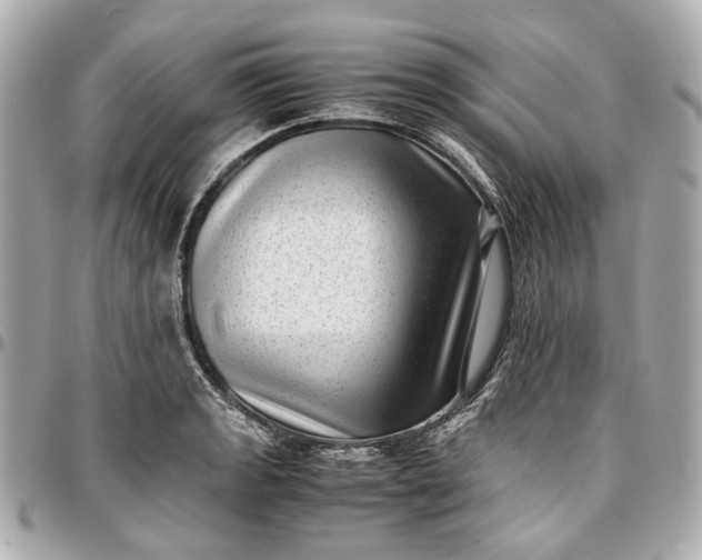 X0000097001133200802221515