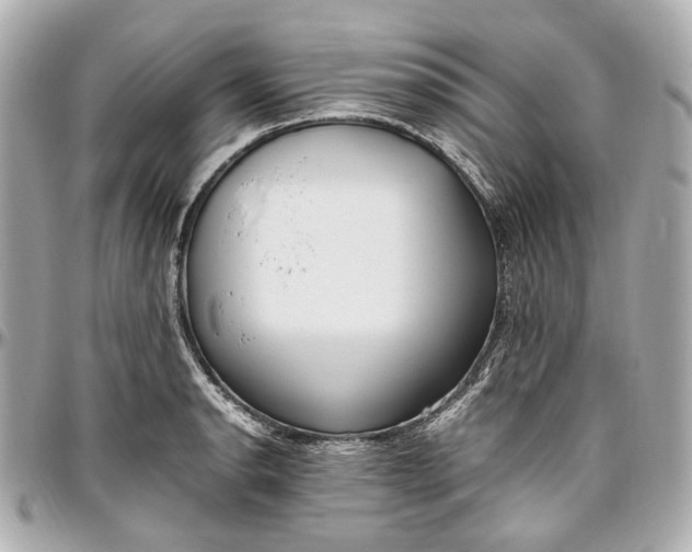 X0000097001134200802221515