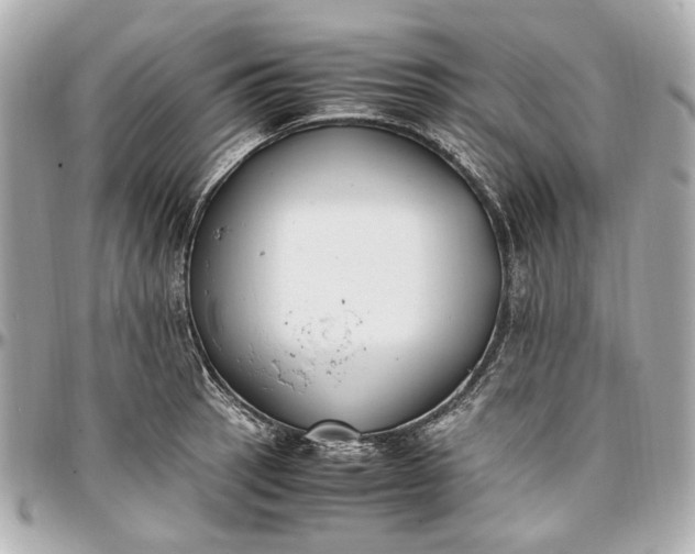 X0000097001137200802221515